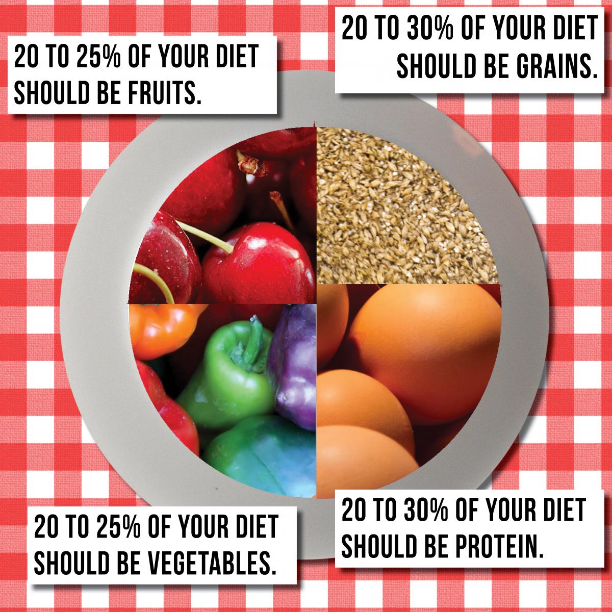 food groups people should eat on a plate with percentages