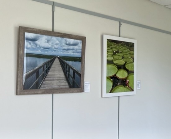 Two pieces of artwork featuring lilypads, and a boardwalk.