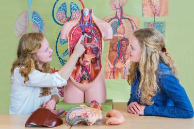 woman pointing to lungs demonstrating PFT Testing to a patient